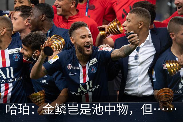 哈珀：金鳞岂是池中物，但……